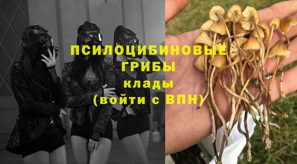 прущая мука Балахна