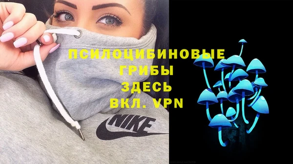 ALPHA PVP Баксан