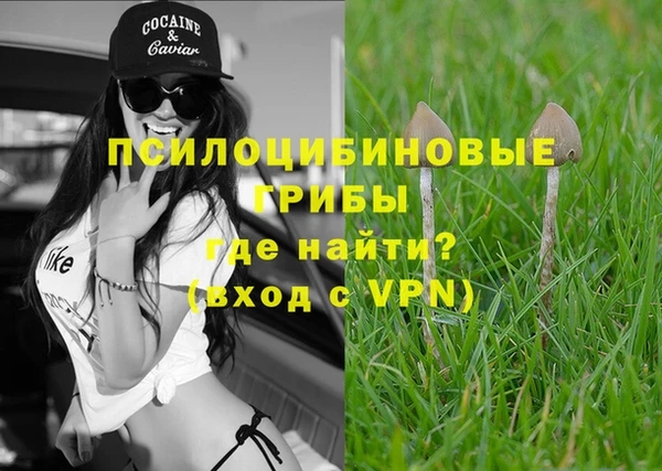 прущая мука Балахна