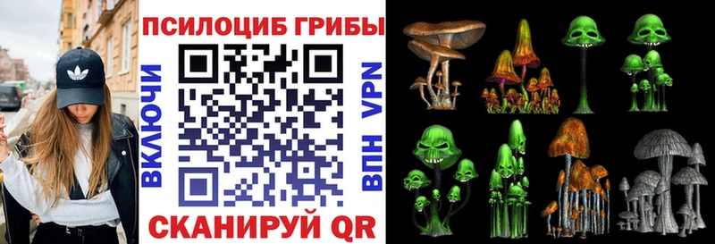 blacksprut вход  Салаир  Псилоцибиновые грибы Cubensis 